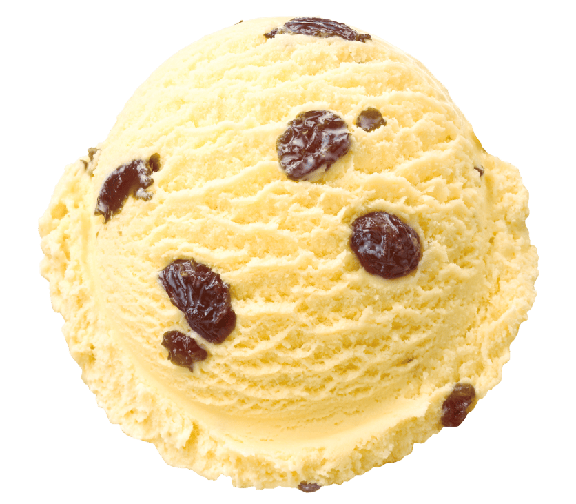 dune 初期 フレーバーズ ラムレーズンアイスクリーム FLAVORS 【公式通販】