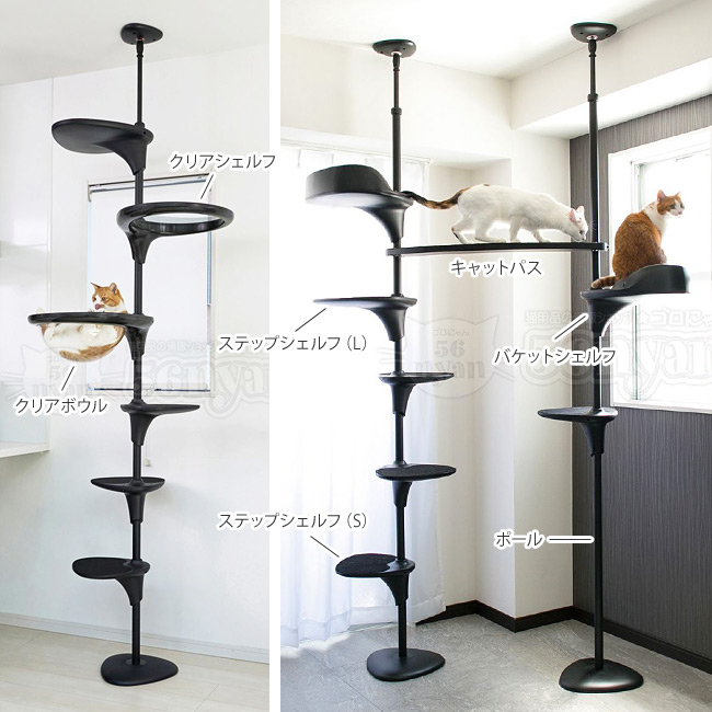 OPPO CatForest2 キャットフォレスト2 ブラック (04351) Cat Forest-2