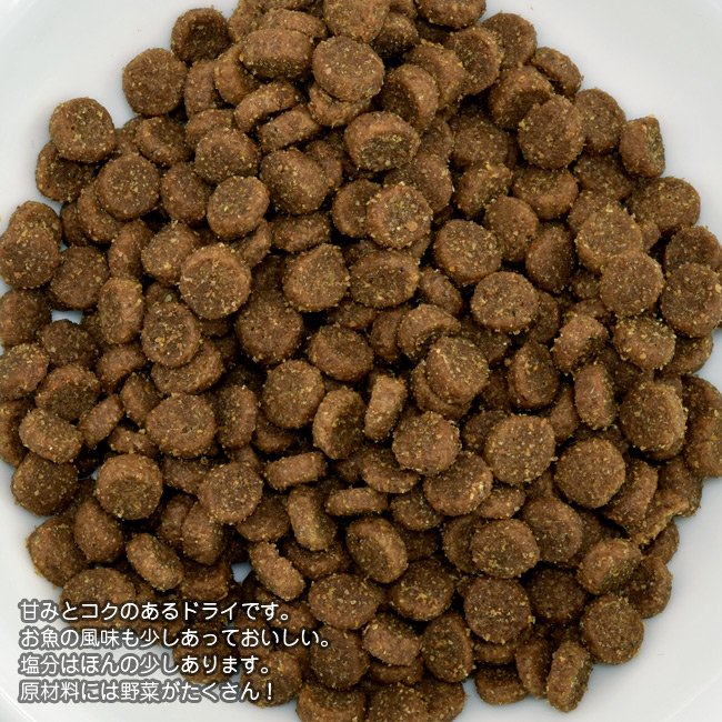 ソリッドゴールド 猫 インディゴムーン チキン&エッグ 2kg グレイン