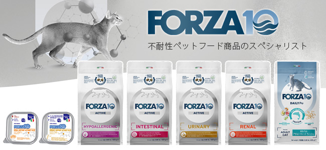 フォルツァ10（フォルツァディエチ） 猫専門店ゴロにゃん☆公式通販