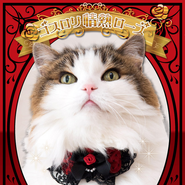 ちょこえり猫首輪 ゴスロリ情熱ローズ かわいい襟付き 猫用首輪