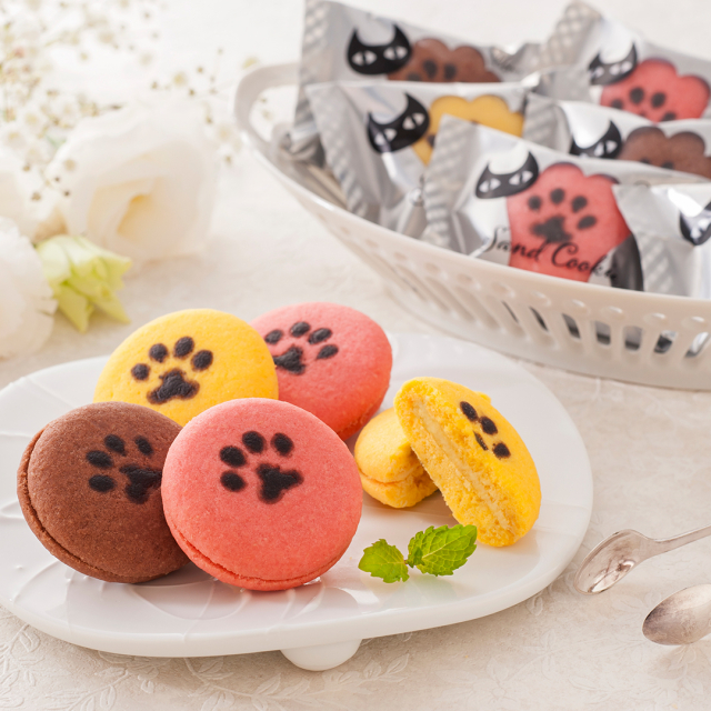 イーペルの猫祭り サンドクッキー [CONCENT]コンセント