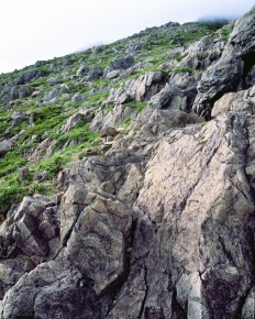 蛇紋岩 | Corvet Photo Agency