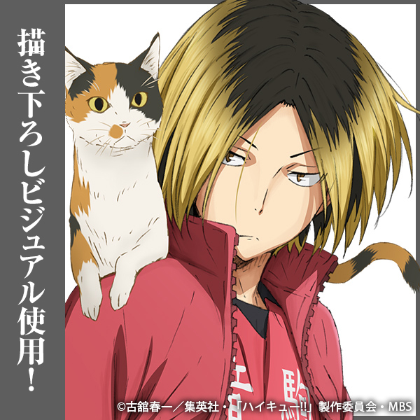 孤爪研磨 缶バッジ Ver.1.0 [ハイキュー!!] | キャラクター公式グッズ