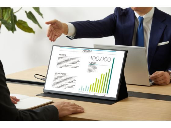 アイリスオーヤマ ポータブルモニター 18.5inch DP-EF184S-Bが21,780円