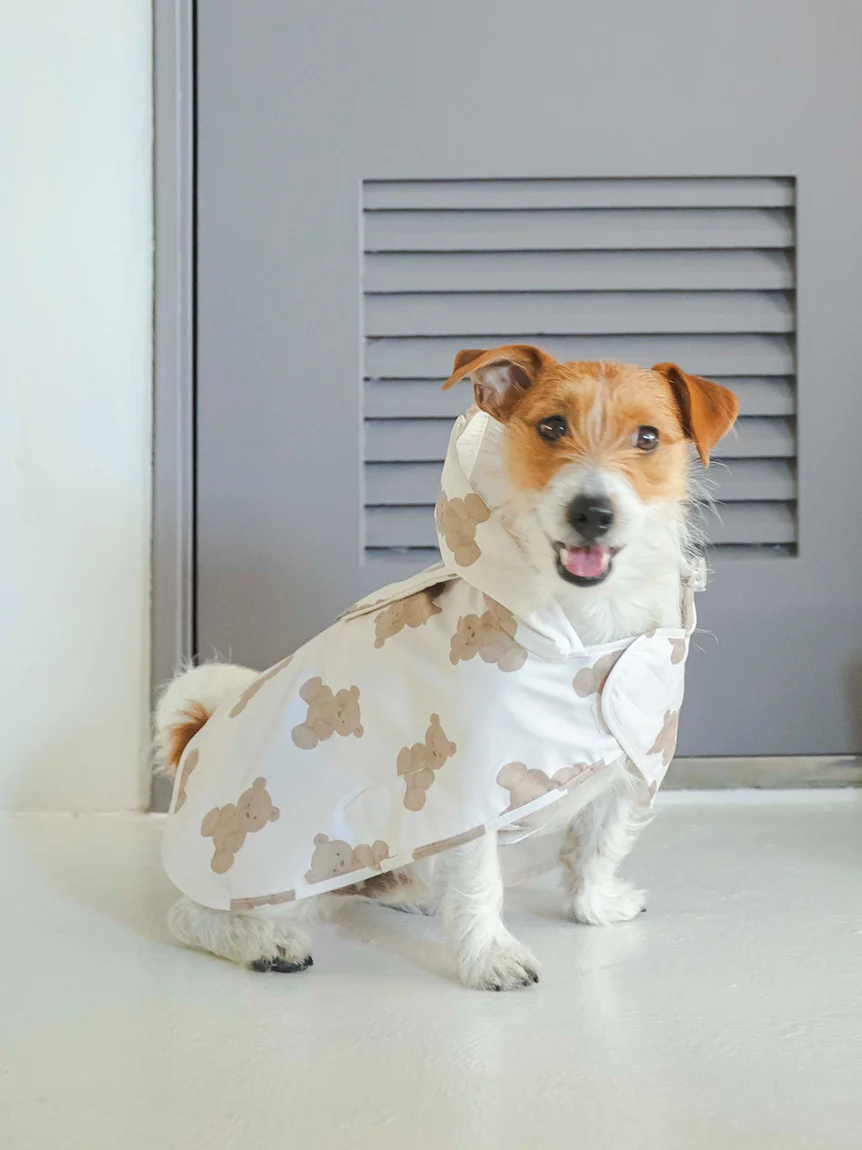 gelato pique（ジェラートピケ）【CAT&DOG】【販路限定商品】レイン