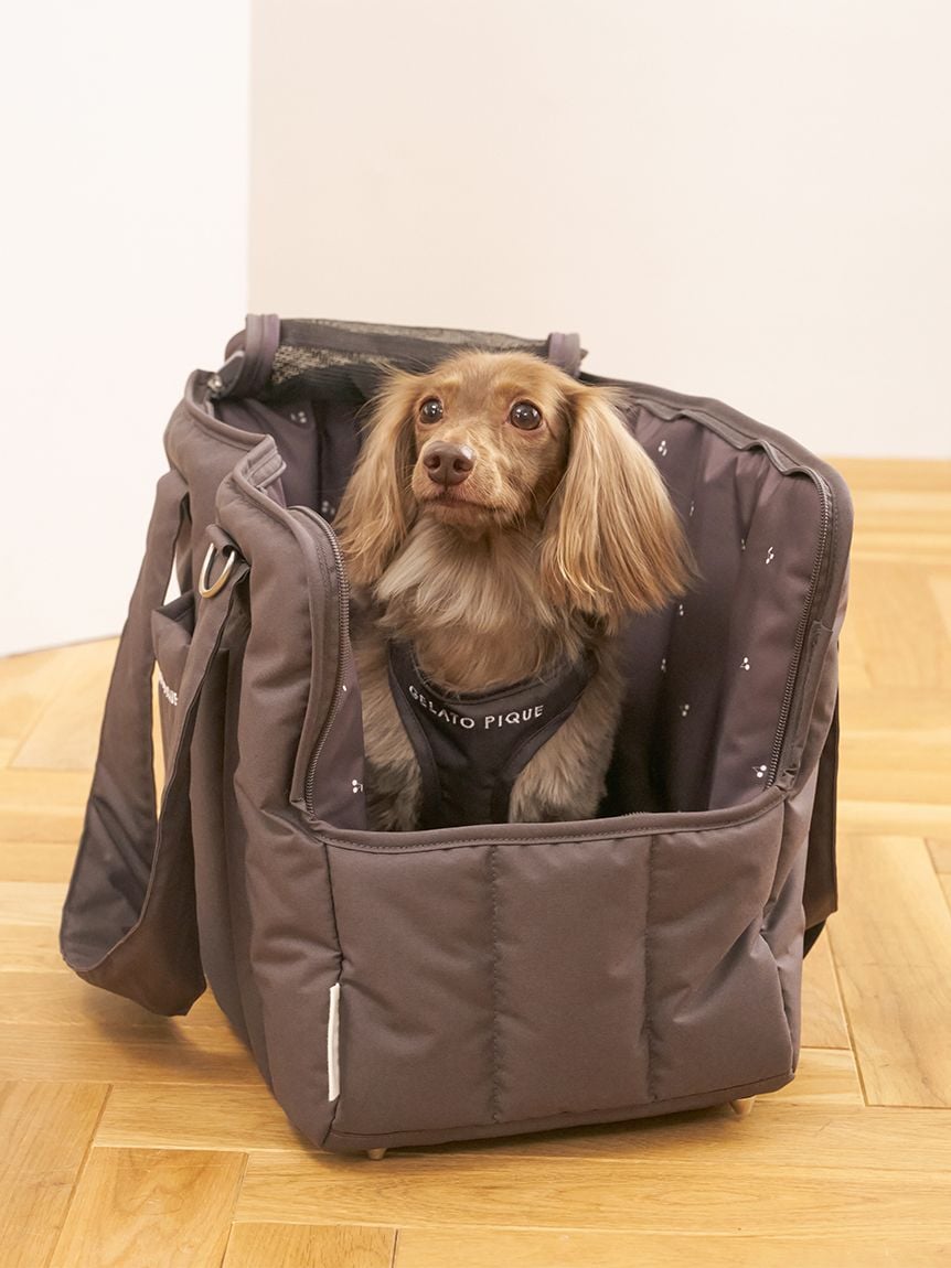 gelato pique（ジェラートピケ）【CAT&DOG】【販路限定商品