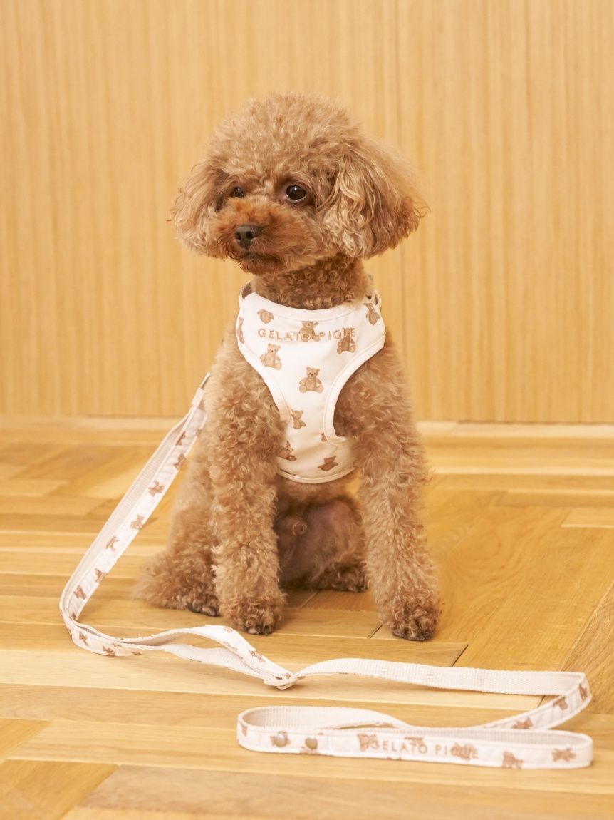 gelato pique（ジェラートピケ）【CAT&DOG】【販路限定商品】 モチーフ