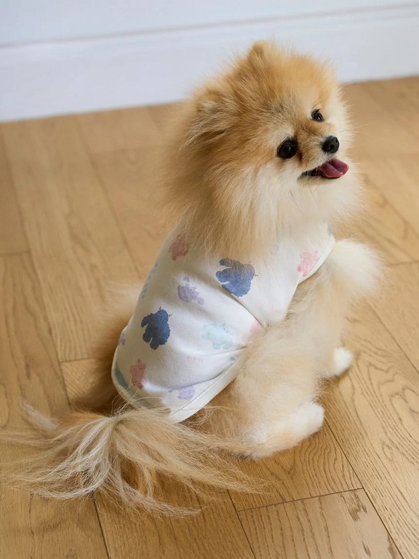 gelato pique（ジェラートピケ）【CAT&DOG】【販路限定商品】【PIQUE