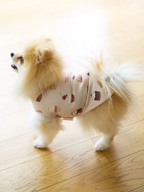 gelato pique（ジェラートピケ）【CAT&DOG】【販路限定商品】カップ