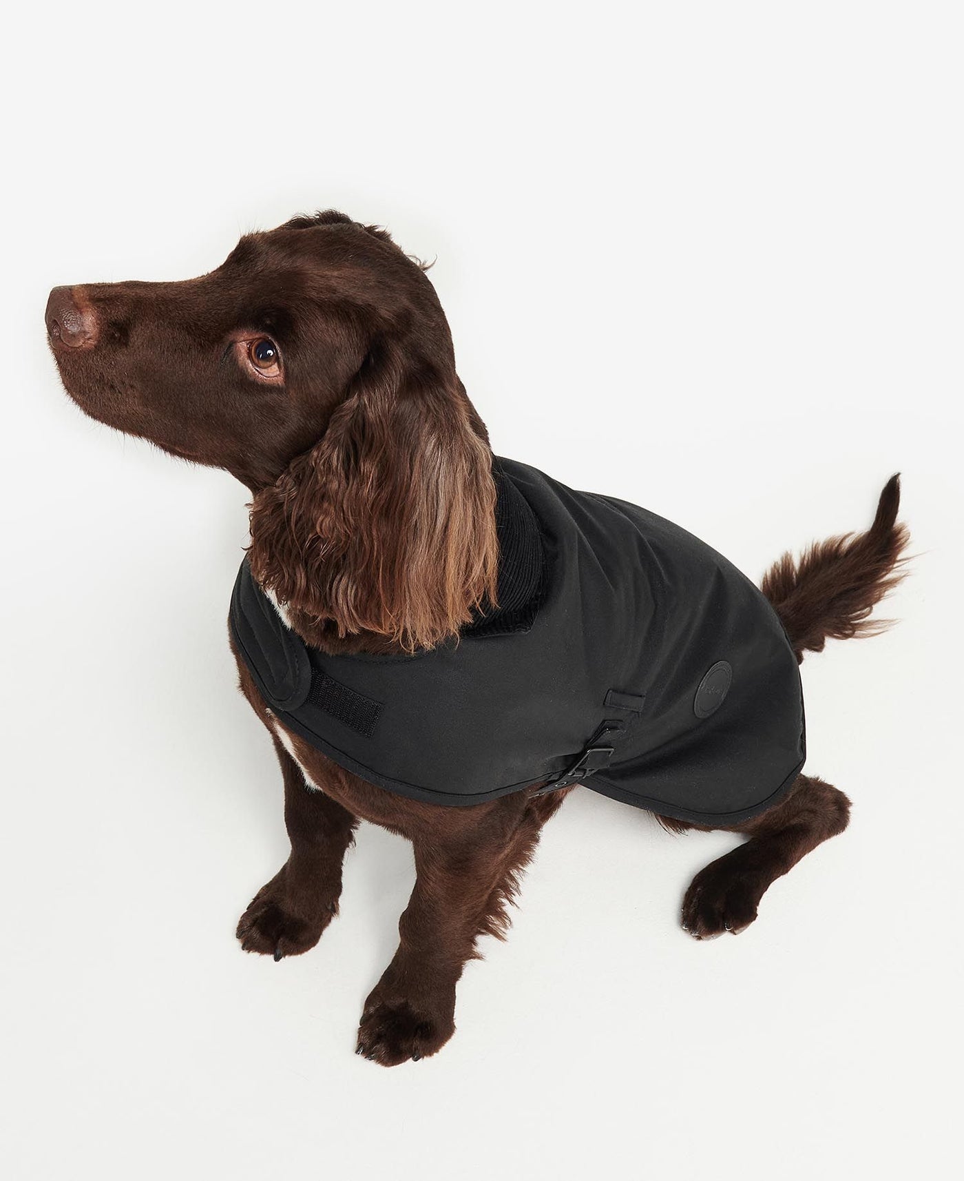 Barbour - Wax Dog Coat – Cane Mundi