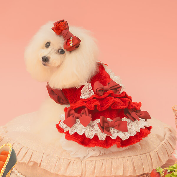 ハンドメイド犬服 ペット用品 ひろみん様専用いちごちゃん犬服