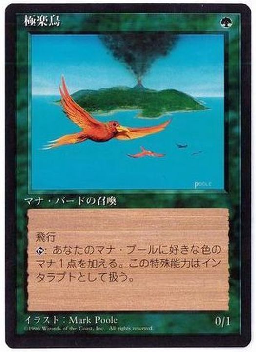 EX+](黒枠)極楽鳥/Birds of Paradise《日本語》【4ED】