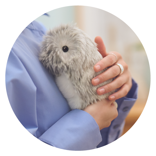 新品 AIペット コミュニケーションロボットmoflin モフリン ゴールド