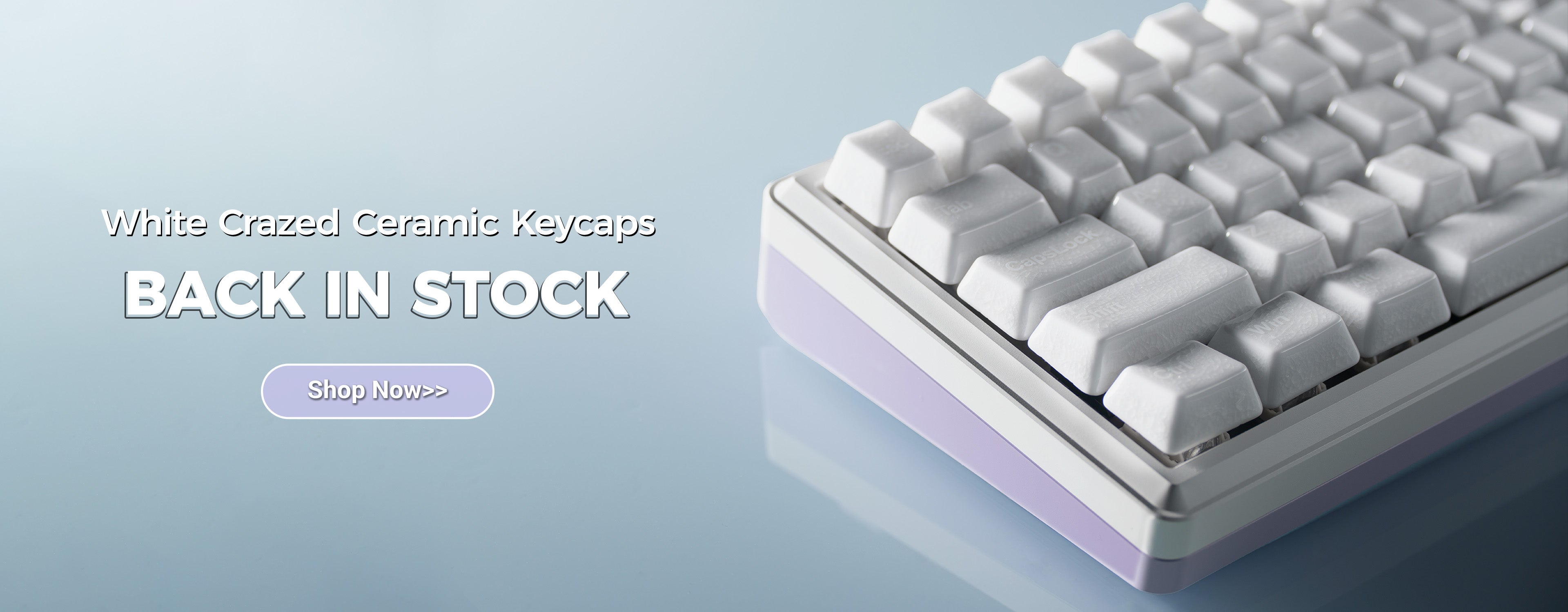 Cerakey キーキャップ v2 無刻印 Aセット ホワイト+ホーミングFJ