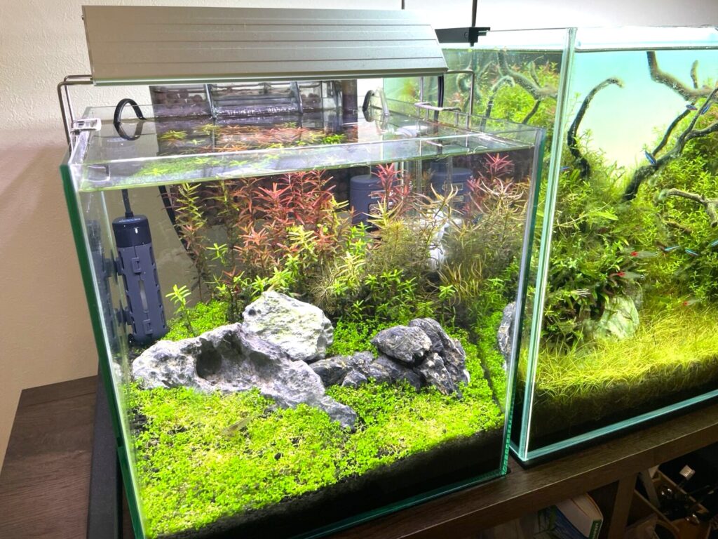 chihiros WRGB 2 60 水草育成 照明 チヒロズ Chihiros WRGBⅡ60を徹底