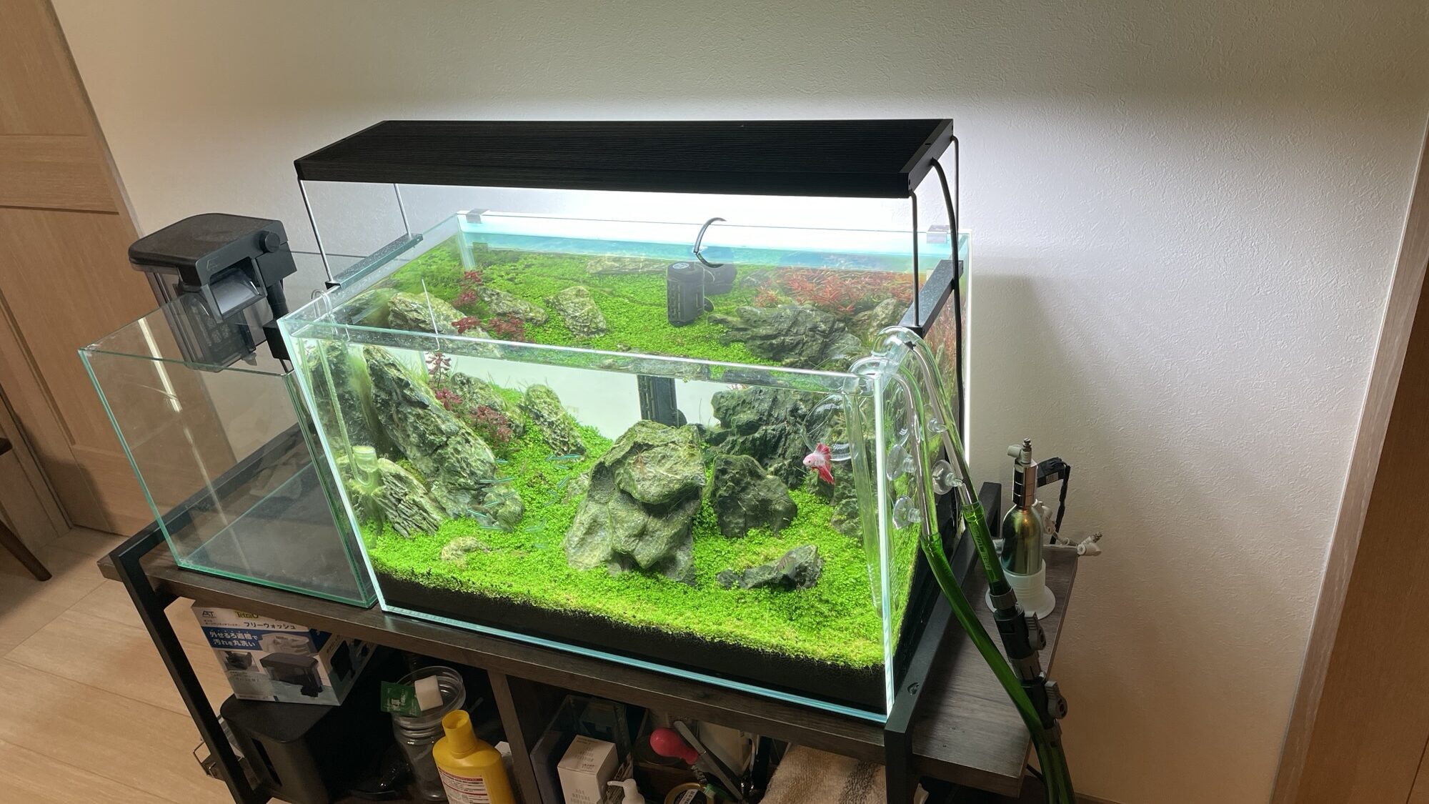 と*ち様 ADA アクアリウムメンテナンス3点セット 年末年始は店頭へ「ADA