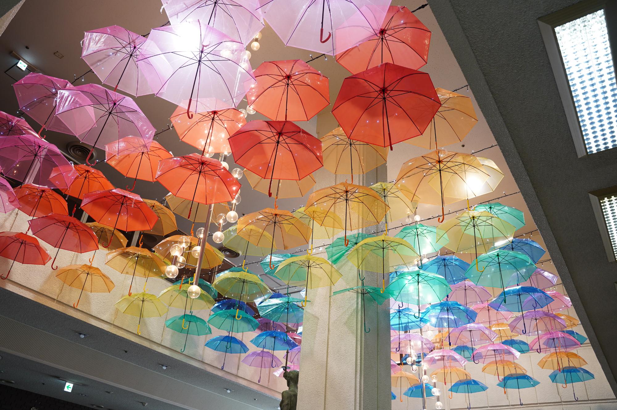 若い力で碧南を盛り上げたい！！”虹色アンブレラスカイ”／碧南市