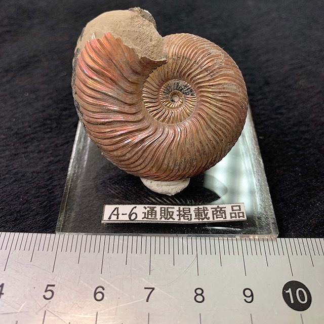 天然石のクリスタル・ワールド