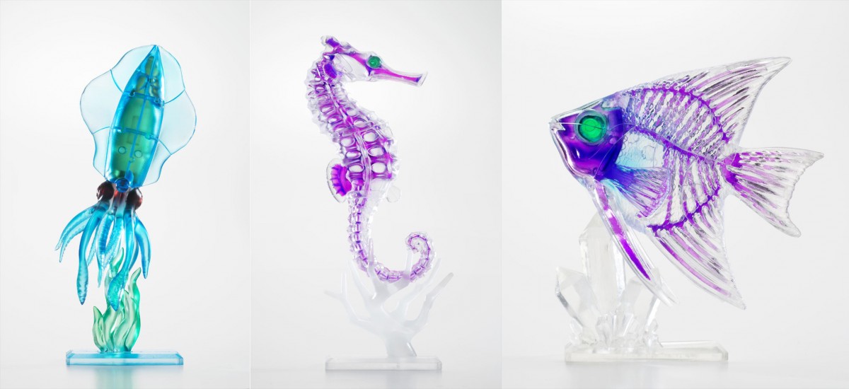 写真）標本なのに美しい！ 話題の「透明標本」を再現した立体パズルが