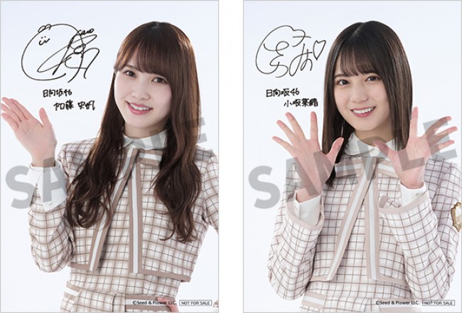 ローソン“日向坂46キャンペーン”実施決定！ 「スマホくじ」や