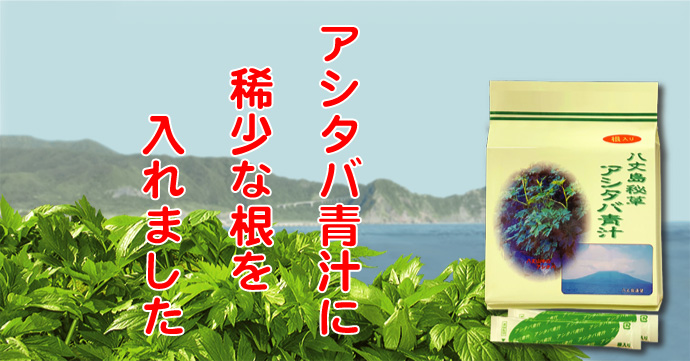 アシタバ頒布会 | 毎日一杯！元気一杯!! 八丈島のとれたてアシタバを青