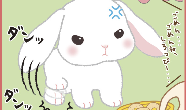 2015年4月ぽてうさろっぴーカドリー｜アミューズ最新情報