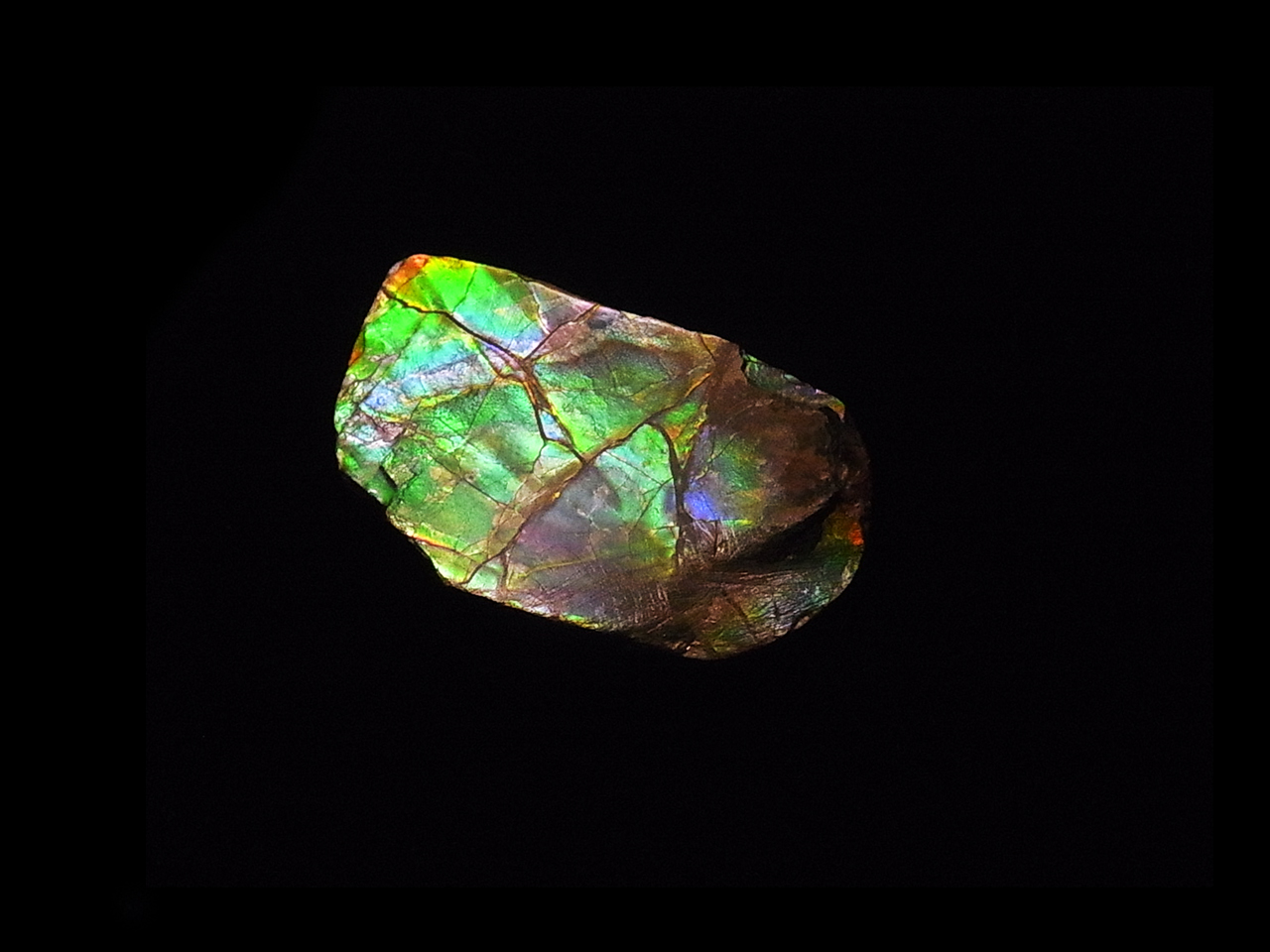 アンモライト無垢破片 ジュエリー宝石販売ルーム