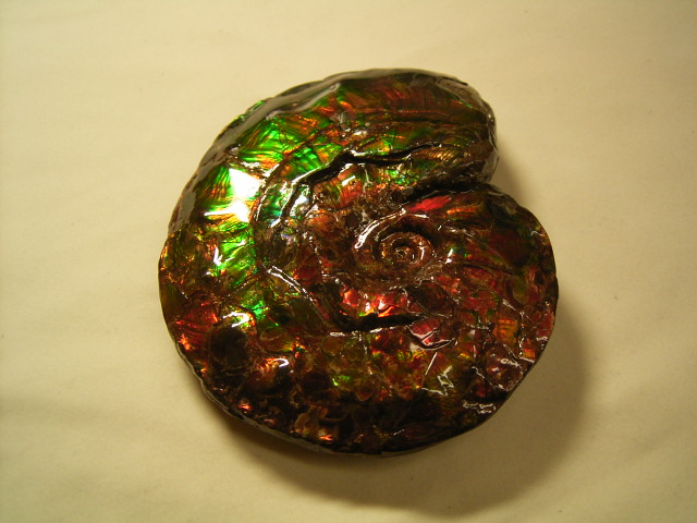 アンモライト原石 アルバータ州レスブリッジKORITE SITE | CHANTSITE