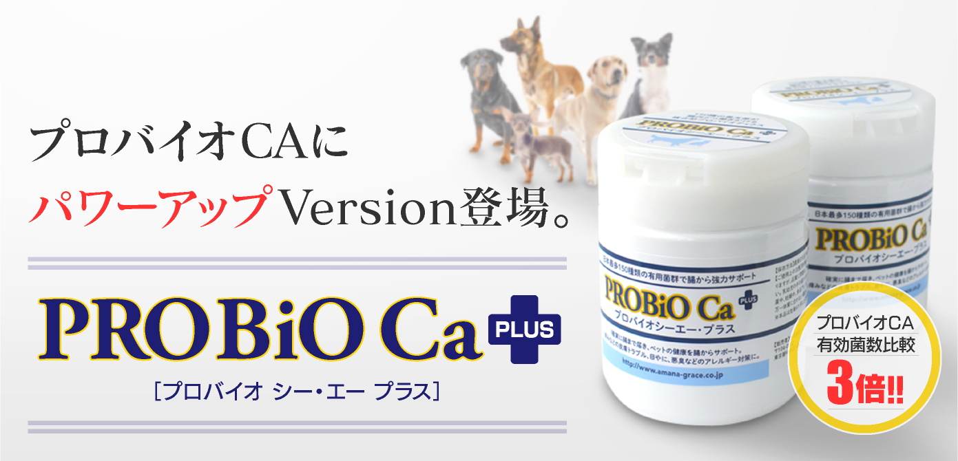 新品未使用品 ◉ プロバイオCAプラス 2個 【公式通販】