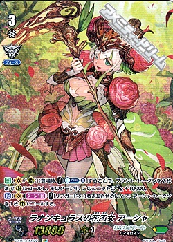 SP】(SPクランパック封入)ラナンキュラスの花乙女 アーシャ