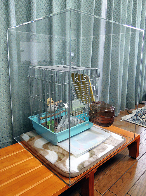 ちぃ 鳥 インコ アクリルケース ゲージ 楽天市場】鳥かご カバー W360