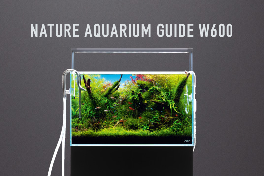 マグネットライトスタンド MARU 発売のお知らせ | ADA - NEWS RELEASE