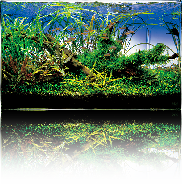 STORY 03 - Cube Garden | ADA