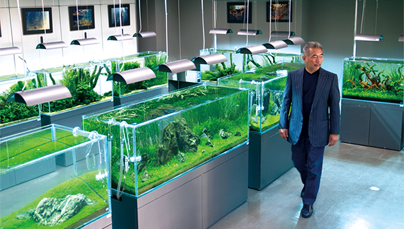 STORY 03 - Cube Garden | ADA