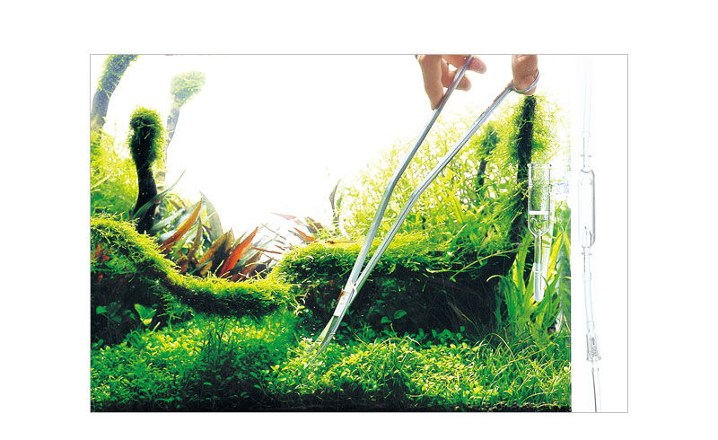 プロシザース | ADA - PRODUCT - レイアウト & メンテナンス用品