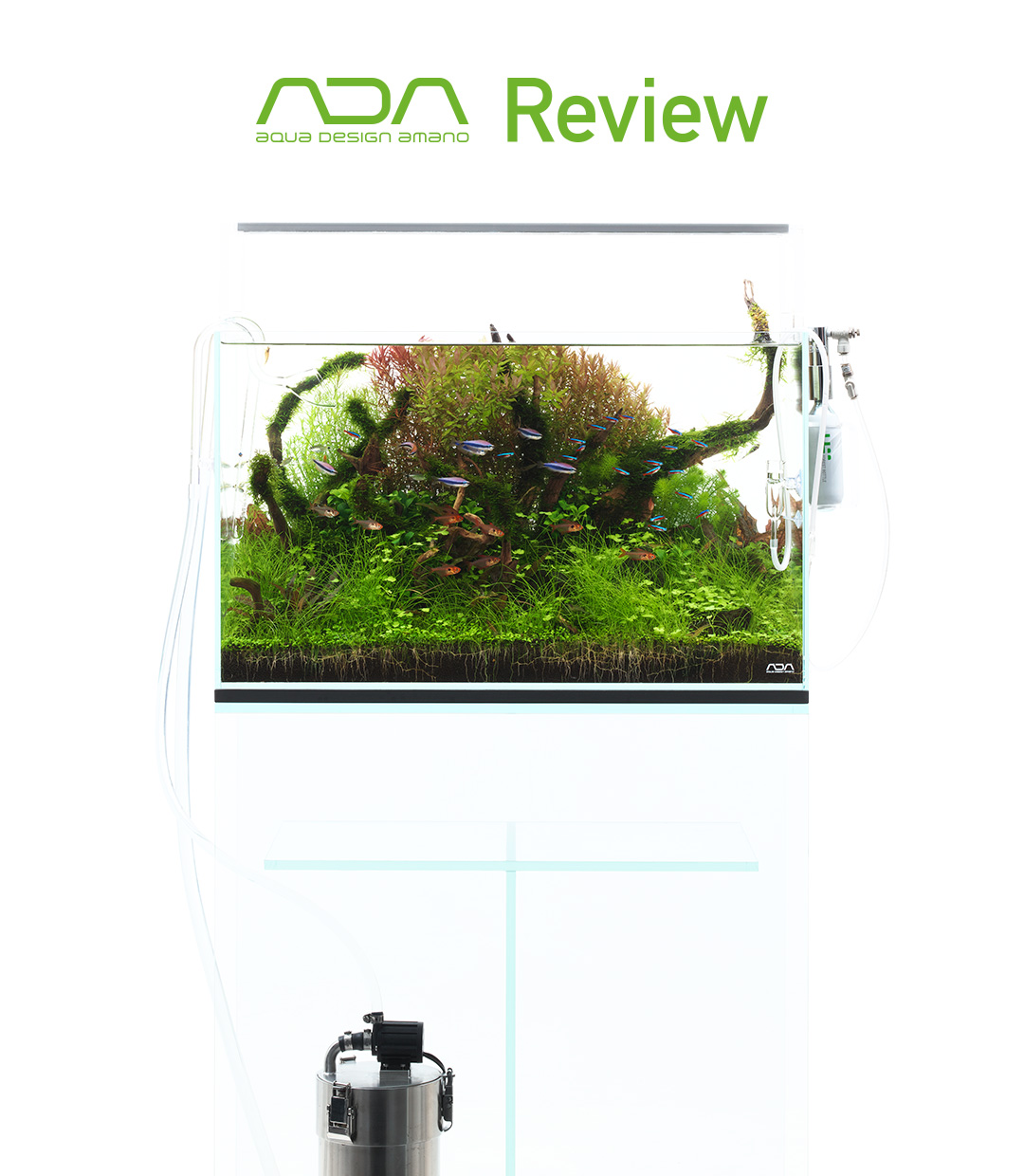 ADA Review 「基本の60㎝水槽システム」 | AQUA DESIGN AMANO