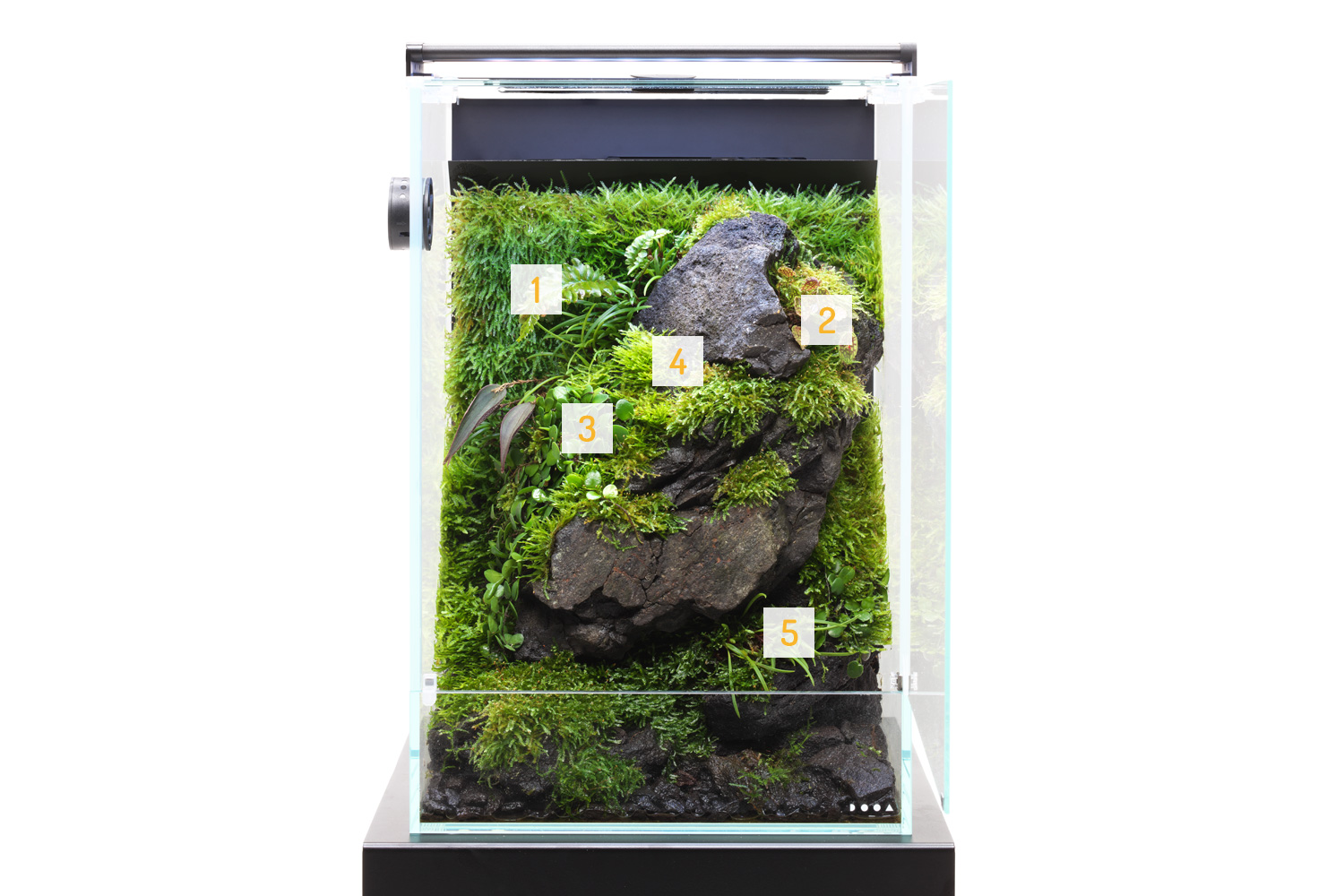 ADA 湿度計 廃盤 水草 熱帯植物 パルダリウム 部屋管理 ADA 湿度計