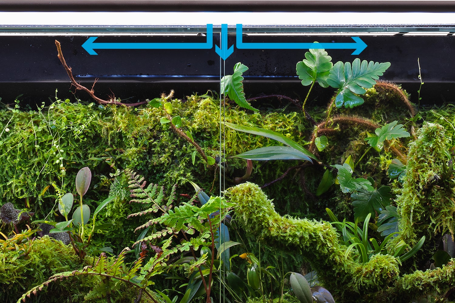 徹底解説「DOOA システムパルダ」PART 1 | NEWS | DOOA