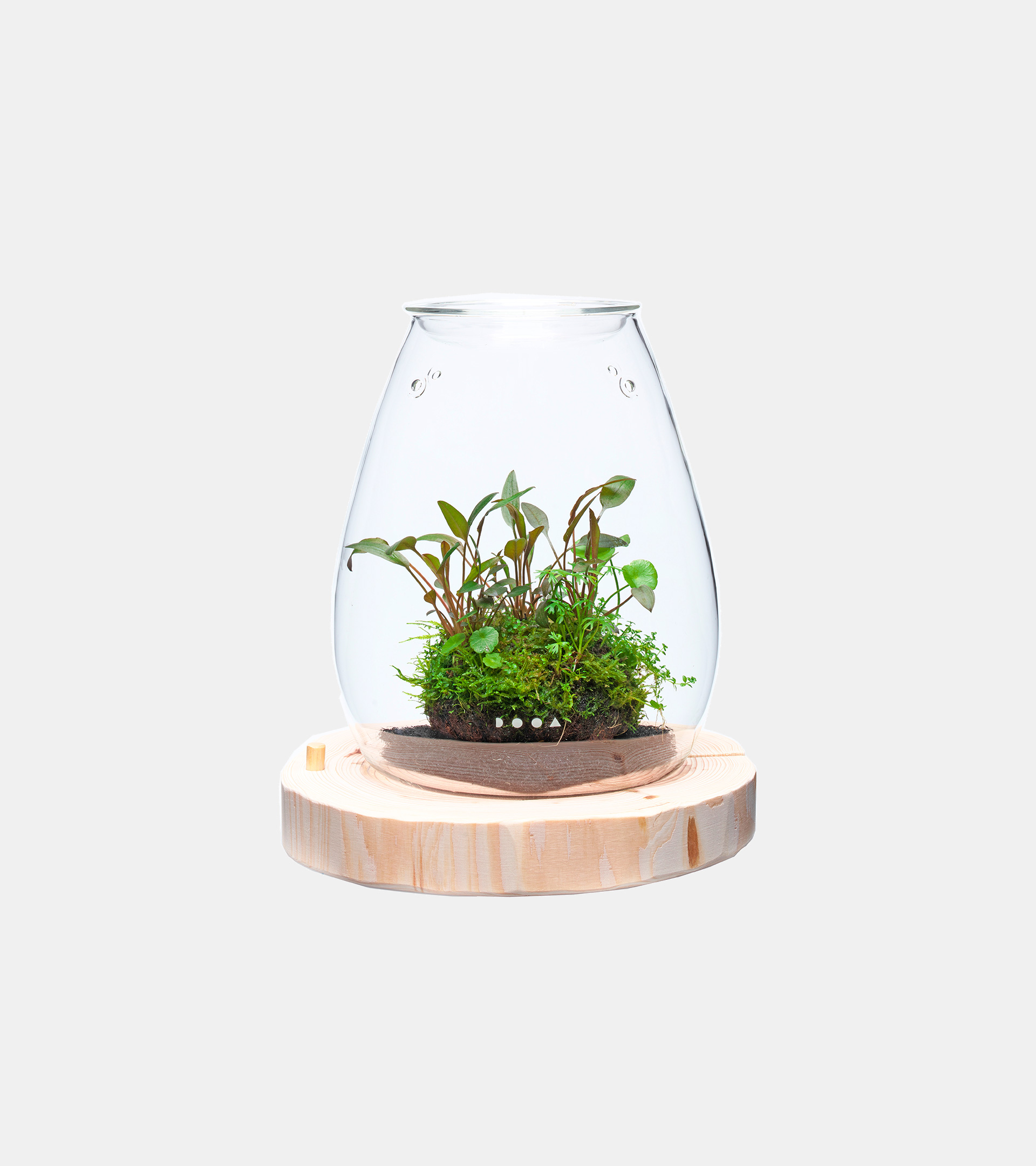 WOOD BASE SHIZUKU | PRODUCTS | DOOA