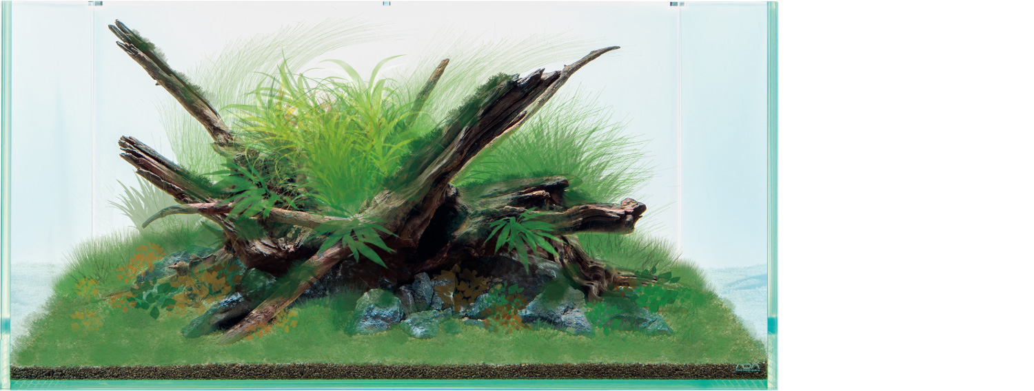 ADA ホーンウッド ada ホーンウッド 【公式通販】