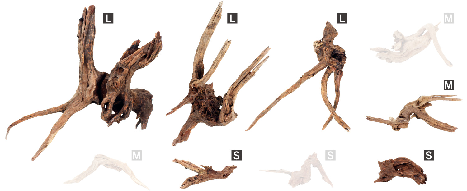 ADA Review 「水景クリエイターへの挑戦状 〜ホーンウッド編