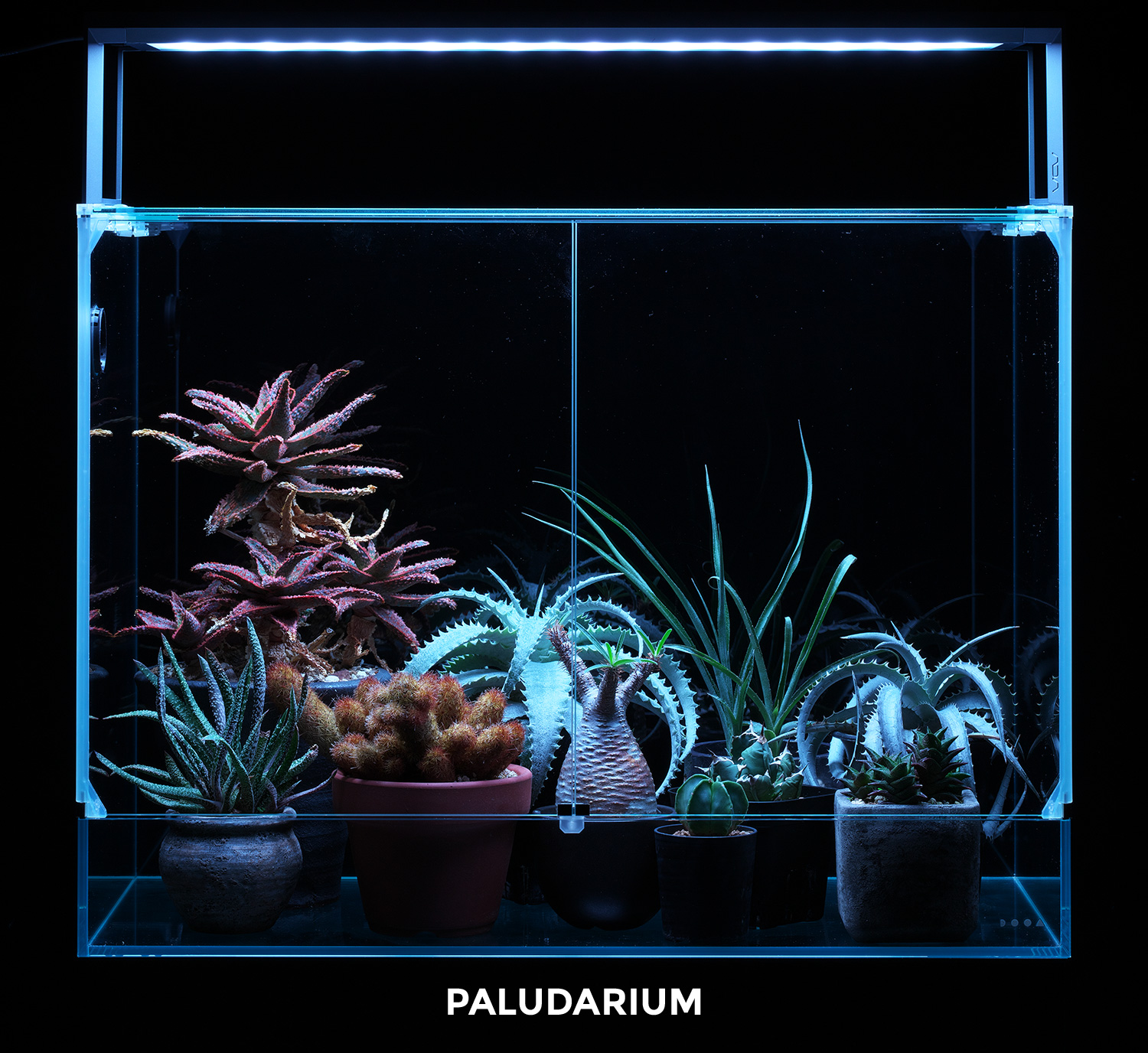 aquasky_rgb2_sp_002.jpg