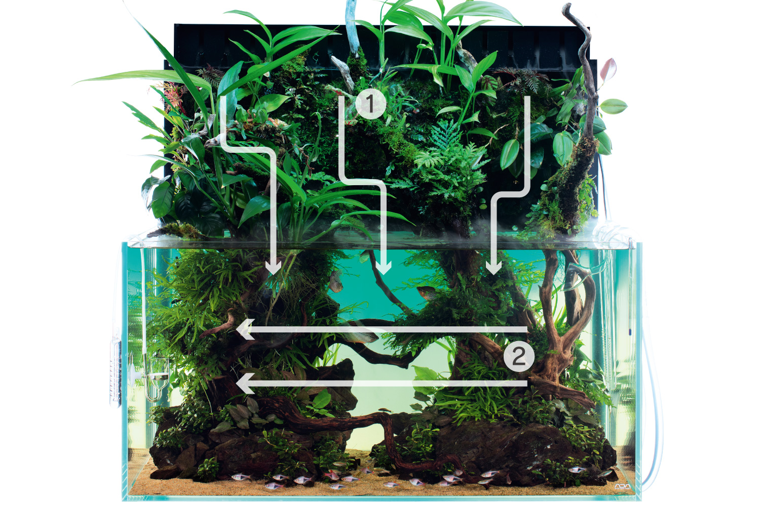 ADA Review “Layout Composition of Aqua Terrarium” | en