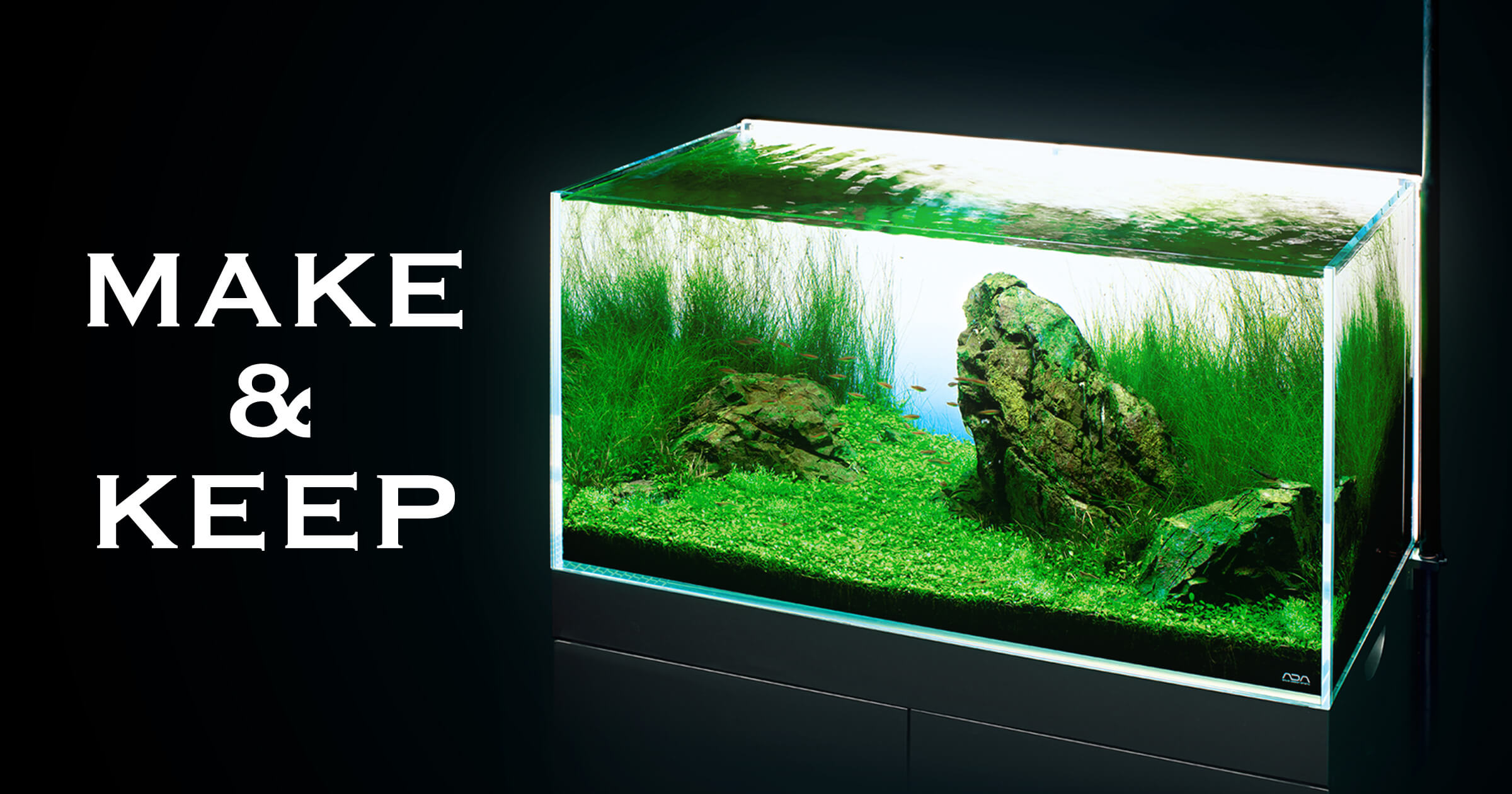 アクアリウム ADA 60センチ キューブ水槽 CO2アドバンスシステム