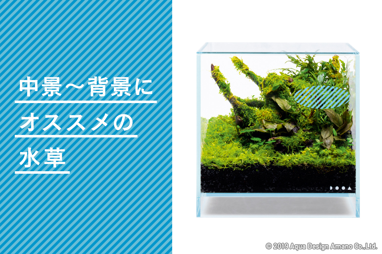 ADA 湿度計 廃盤 水草 熱帯植物 パルダリウム 部屋管理 ADA 湿度計