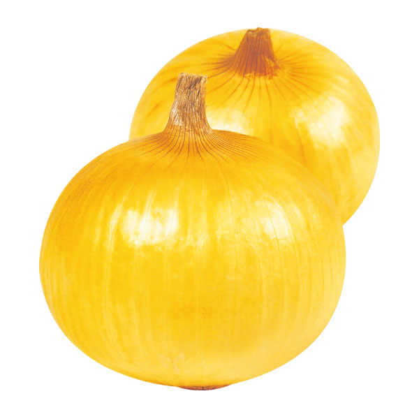 株式会社ホームセンターアグロ | 甘さぎゅっと 超早どり玉ねぎ