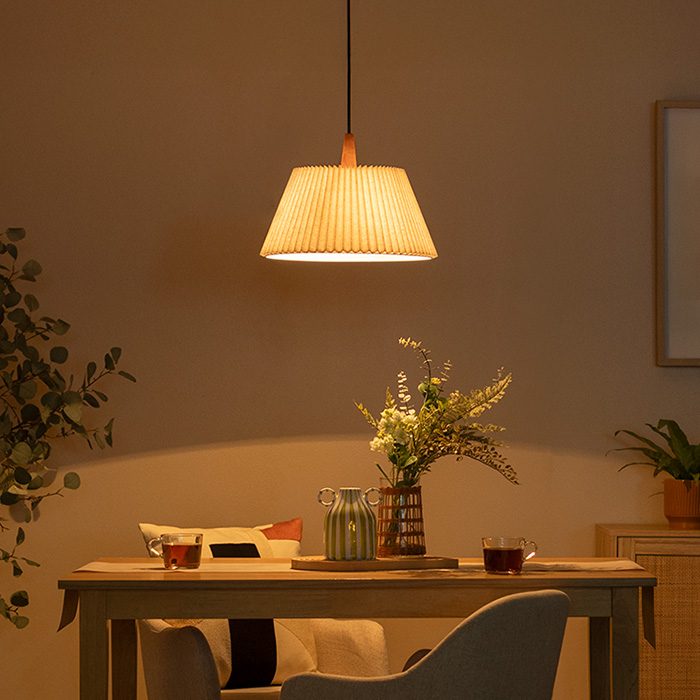 ペンダントライト Usva(ウスヴァ) | 家具・インテリア通販 【公式