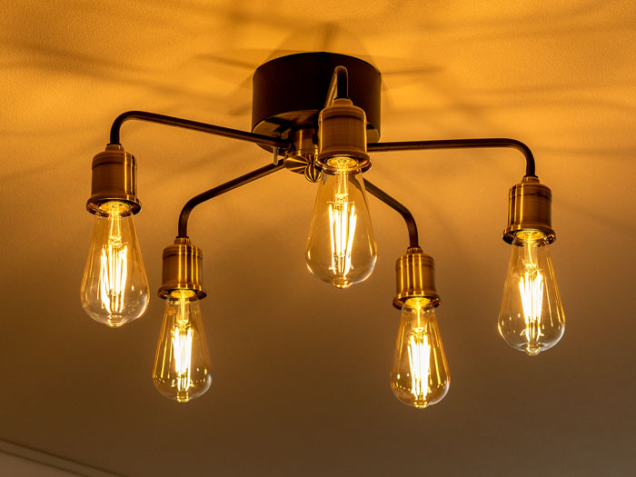 えにvintage感な流木5灯シーリングライト(LED電球付き) えにvintage感