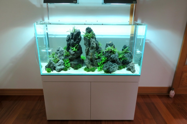 ADA 雲山石 XLサイズ ADA雲山石超特大 ADA Aqua Design Amano 雲山石